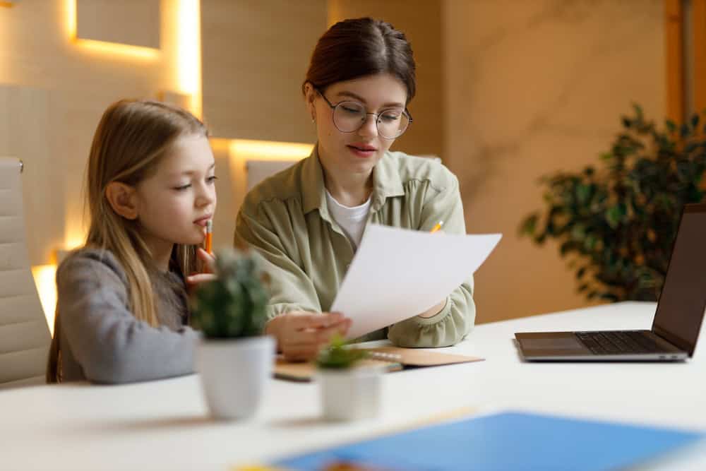 Child Custody Evaluation